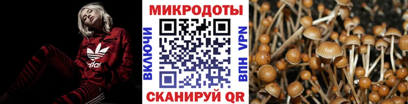 Псилоцибиновые грибы MAGIC MUSHROOMS  Руза 